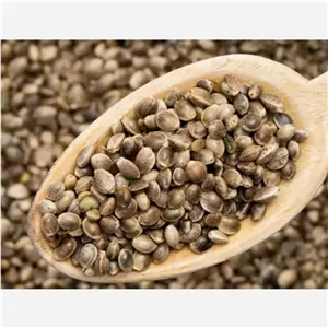 شاهدانه بوداده 160 گرم
