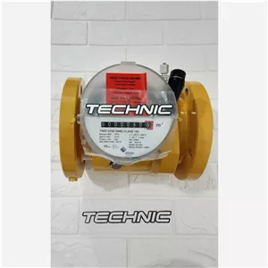 کنتور گاز توربینی اصلی الستر elster TRZ2 G250 DN80 CLASS150 - آلمان