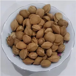 هسته زردآلو شیرین ارسال رایگان 250 گرم