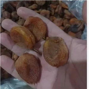 زردآلو خشک بی هسته ارسال رایگان 250 گرم