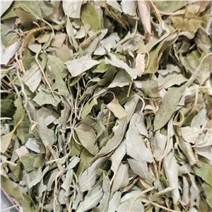 برگ سنجد - 1 کیلو