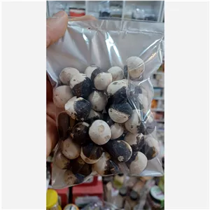 کشک دورنگ و قره قوروتی 500 گرمی