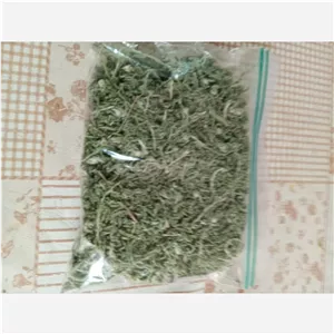 بومادران خشک امسال سبزو تازه( 50 گرمی)