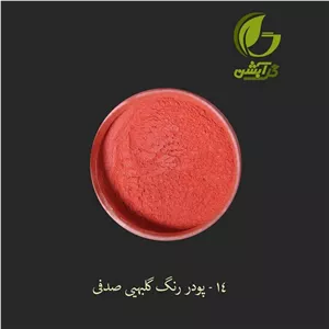 رنگ صدفی گلبهی 45 گرم - میکا