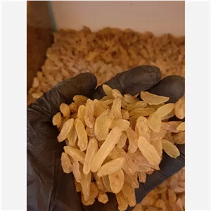 کشمش زرد قلمی (نیم کیلو)