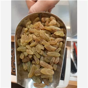 کشمش سبزقلمی ممتاز(نیم کیلو)