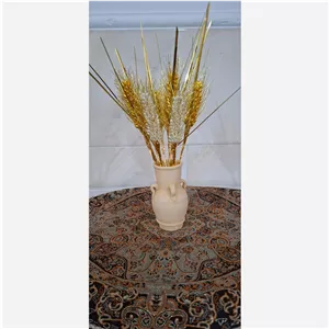 گندم مرواریدی 