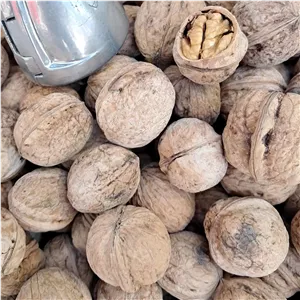 گردو سفید پوست نازک خوانسار(2کیلو)