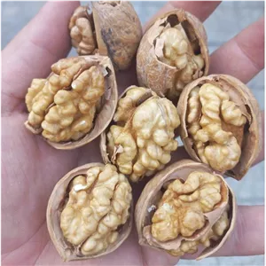 گردو مراغه درجه یک ارسال رایگان 