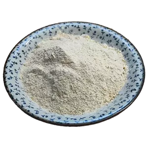 پودر سیر