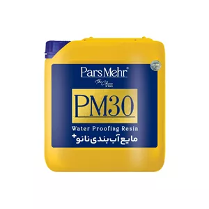  چسب مایع آب بندی نانو پلاس PM30 پارس مهر گالن (پس کرایه)