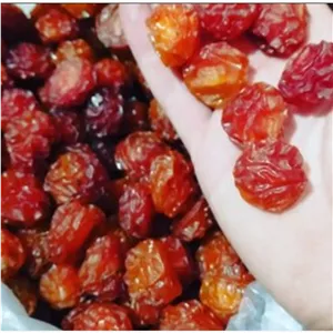 آلوچه شرابی، گوشتی و ملس 500 گرم