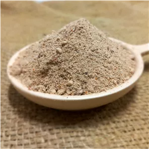 پودر سنجد (اسیاب شده با هسته) 100 گرمی کوثر امسالی و درجه یک