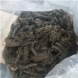 سنبل الطیب درجه یک 50گرمی