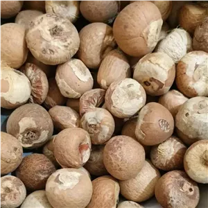 فوفل 500 گرم