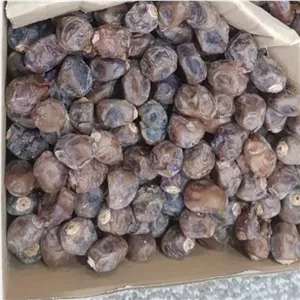 خرما برحی (آجیلی خشک)