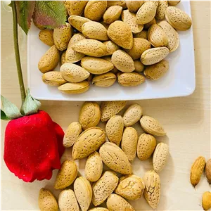 بادام سنگی پرمغز محصول امسال آذربایجان خوش طعم ولذیذ در بسته بندی 1000گرمی 