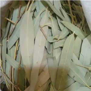 برگ خشک اکالیپتوس درجه یک  100 گرمی