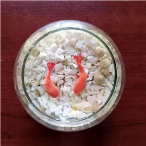 حوض ماهی رزینی  مناسب شب عید در سایز  بندی دلخواه شما