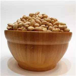 سویا آجیلی دوآتیشه تازه و اعلا 300 گرم