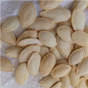 تخمه کدو خام 500گرمی سالم و تمیز 