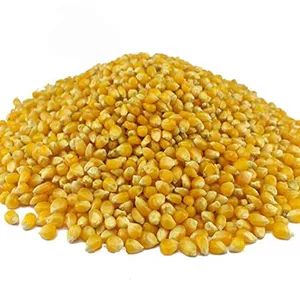 ذرت پفیلای درجه یک ارسال رایگان 250 گرم