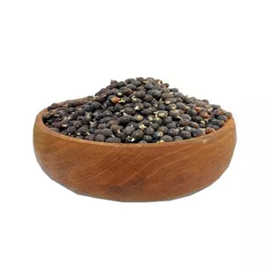 میوه نخل اره ای(برای خرید عمده بالای 10 کیلو ) 