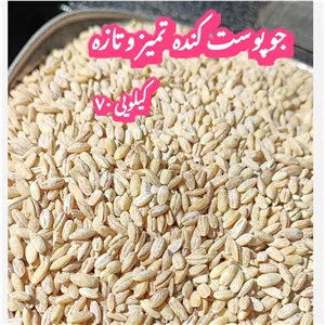 جو پوست کنده تمیز ( 500 گرمی ) 