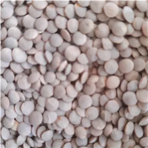 عدس دیم ارگانیک بسیار زود پز و خوش طعم  (پس کرایه)