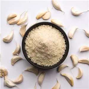 پودر سیر200گرمی