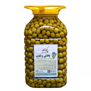 زیتون باهسته سوپرویژه اصل رودبار - 10 کیلوگرمی(6660 گرم آبکشی)