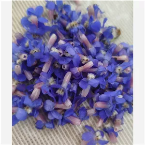 گل گاو زبان محلی