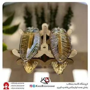 خرما خوری دوقلو پردیس 