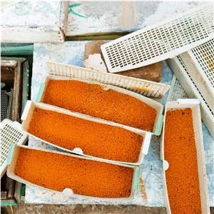 گرده ی گل یک کیلویی خالص الک شده ارسال رایگان درجه کیفی گرید A تقویت جنسی،تقویت قوای بدن،درمان ضعف شدیدوکم خونی 