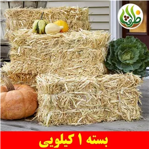کاه جو درجه یک ظرافت 1 کیلویی