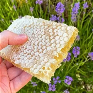 عسل چهل گیاه طبیعی یک کیلویی ارسال رایگان خالص صاف شده بدون موم ارگانیک بدون واسطه از زنبوردار زنبورستان ماهور 
