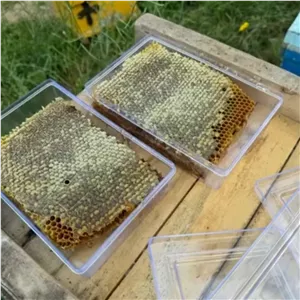 عسل چندگل طبیعی یک کیلویی ارسال رایگان خالص صاف شده بدون موم ارگانیک بدون واسطه از زنبوردار زنبورستان ماهور 
