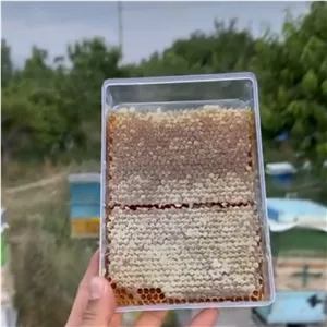 عسل طبیعی ویژه یک کیلویی ارسال رایگان خالص صاف شده بدون موم ارگانیک بدون واسطه از زنبوردار زنبورستان ماهور 