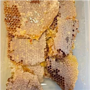 عسل خالص طبیعی یک کیلویی ارسال رایگان خالص صاف شده بدون موم ارگانیک بدون واسطه از زنبوردار زنبورستان ماهور 