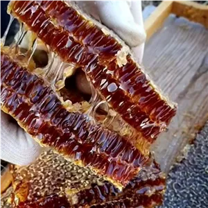 عسل طبیعی خالص یک کیلویی ارسال رایگان خالص صاف شده بدون موم ارگانیک بدون واسطه از زنبوردار زنبورستان ماهور 