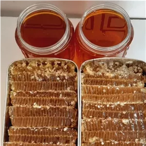 عسل اصلی طبیعی یک کیلویی ارسال رایگان خالص صاف شده بدون موم ارگانیک بدون واسطه از زنبوردار زنبورستان ماهور 