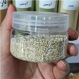 دانه کینوا 100 گرمی