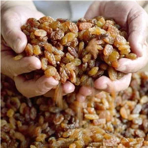 کشمش پلویی تیزابی ارسال رایگان 500 گرم