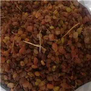 کشمش آبگیری ارسال رایگان 