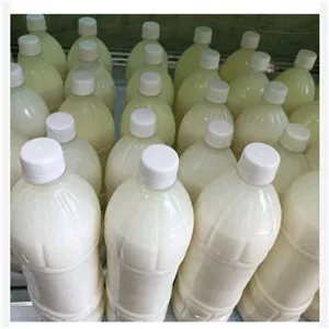 دوغ گاوی خانگی 