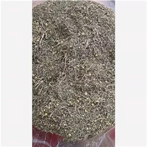 بابونه کوهی وحشی شیرازی با عطرو بوی عالی100گرمی
