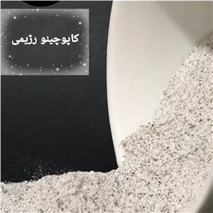 پودر کاپوچینو فوری (رژیمی) - درجه یک - 500 گرم
