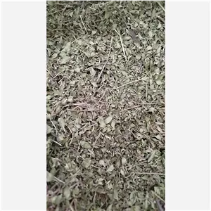 آویشن کوهی برگ تازه 1404
