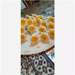 گیفت گل نرگس (پس کرایه)