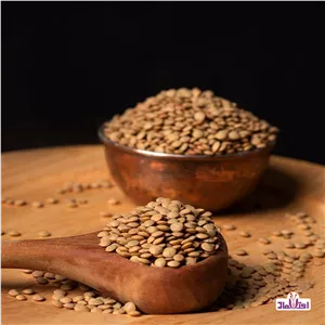 عدس درشت اعلا یک کیلویی اعتماد کانادایی